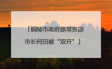 铜陵市政府原常务副市长何田被“双开”