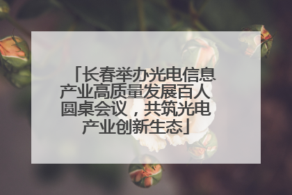 长春举办光电信息产业高质量发展百人圆桌会议，共筑光电产业创新生态