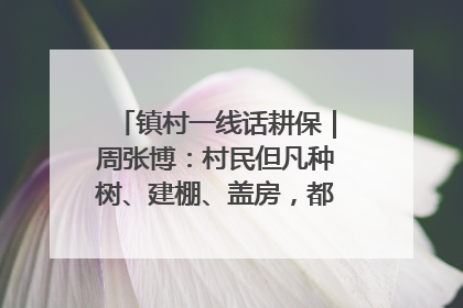 镇村一线话耕保｜周张博：村民但凡种树、建棚、盖房，都要向街道报批