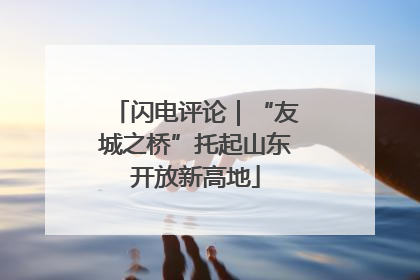 闪电评论｜“友城之桥”托起山东开放新高地