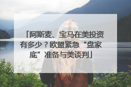 阿斯麦、宝马在美投资有多少？欧盟紧急“盘家底”准备与美谈判