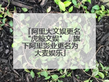 阿里大文娱更名“虎鲸文娱”，旗下阿里影业更名为大麦娱乐