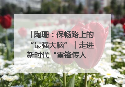 陶珊：保畅路上的“最强大脑”｜走进新时代“雷锋传人 长沙榜样”