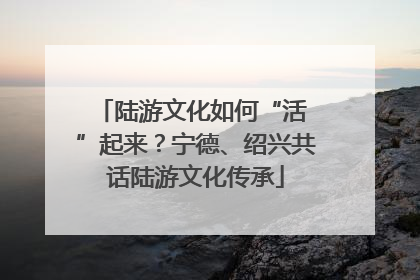 陆游文化如何“活 ”起来？宁德、绍兴共话陆游文化传承