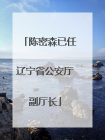 陈密森已任辽宁省公安厅副厅长