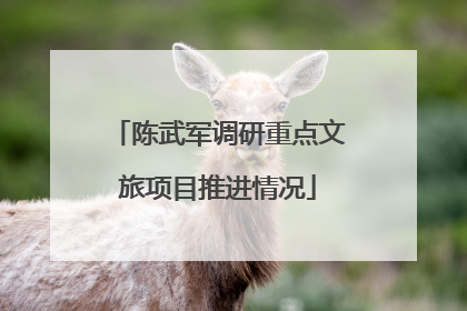 陈武军调研重点文旅项目推进情况