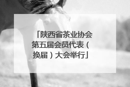 陕西省茶业协会第五届会员代表（换届）大会举行