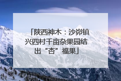 陕西神木：沙峁镇兴四村千亩杂果园结出“杏”福果