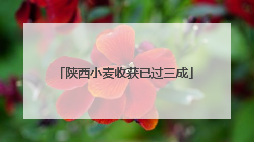 陕西小麦收获已过三成