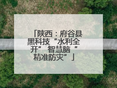 陕西：府谷县黑科技“水利全开” 智慧脑“精准防灾”