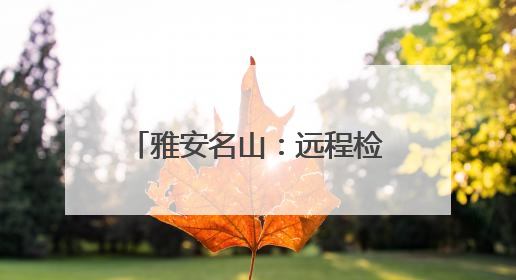 雅安名山：远程检察听证 办理一起行刑反向衔接案