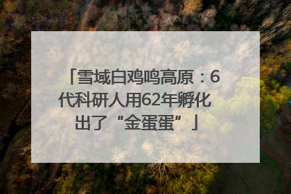 雪域白鸡鸣高原：6代科研人用62年孵化出了“金蛋蛋”