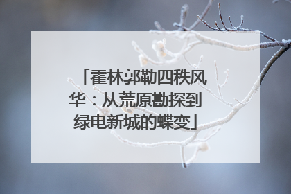霍林郭勒四秩风华：从荒原勘探到绿电新城的蝶变