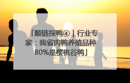 顺链探鸭④｜行业专家：我省肉鸭养殖品种80%是樱桃谷鸭