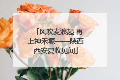 风吹麦浪起 再上神禾塬——陕西西安夏收见闻