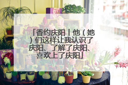 香约庆阳丨他（她）们这样让我认识了庆阳、了解了庆阳、喜欢上了庆阳