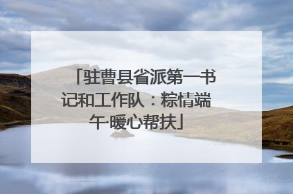 驻曹县省派第一书记和工作队：粽情端午·暖心帮扶