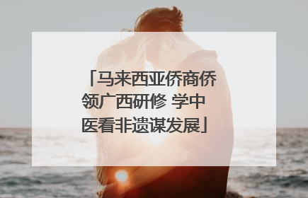 马来西亚侨商侨领广西研修 学中医看非遗谋发展