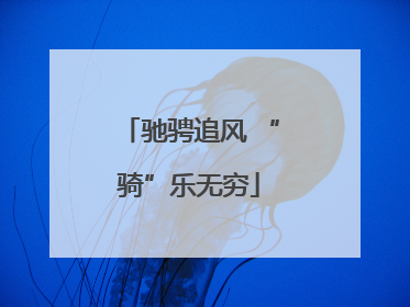 驰骋追风 “骑”乐无穷