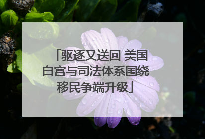 驱逐又送回 美国白宫与司法体系围绕移民争端升级
