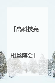 高科技亮相丝博会