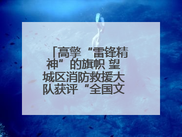 高擎“雷锋精神”的旗帜 望城区消防救援大队获评“全国文明单位”称号