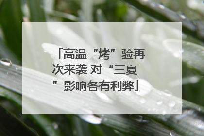 高温“烤”验再次来袭 对“三夏”影响各有利弊