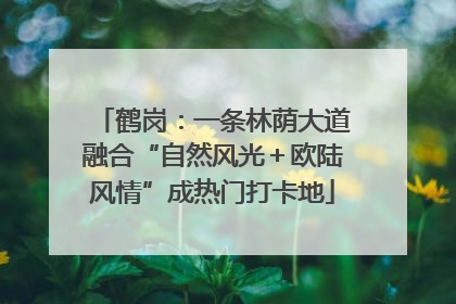 鹤岗：一条林荫大道融合“自然风光＋欧陆风情”成热门打卡地