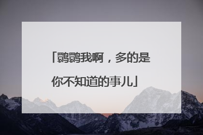 鹮鹮我啊，多的是你不知道的事儿