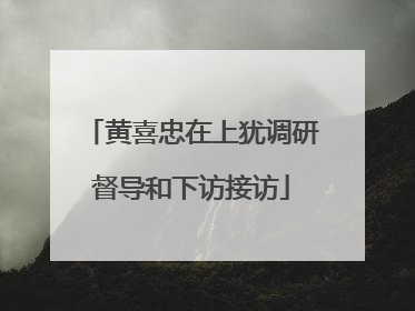黄喜忠在上犹调研督导和下访接访