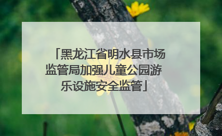 黑龙江省明水县市场监管局加强儿童公园游乐设施安全监管