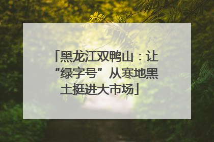 黑龙江双鸭山：让“绿字号”从寒地黑土挺进大市场