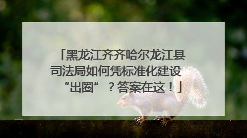 黑龙江齐齐哈尔龙江县司法局如何凭标准化建设“出圈”？答案在这！
