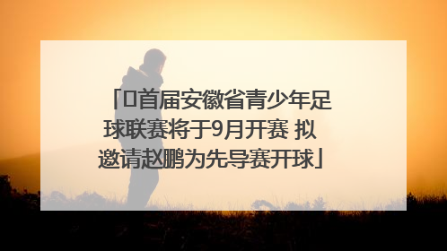 ﻿首届安徽省青少年足球联赛将于9月开赛 拟邀请赵鹏为先导赛开球