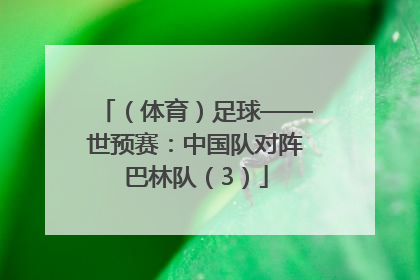 （体育）足球——世预赛：中国队对阵巴林队（3）