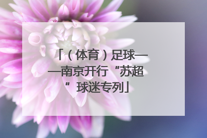 （体育）足球——南京开行“苏超”球迷专列