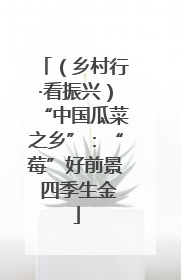 （乡村行·看振兴）“中国瓜菜之乡”：“莓”好前景 四季生金