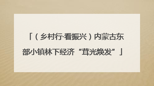 （乡村行·看振兴）内蒙古东部小镇林下经济“茸光焕发”