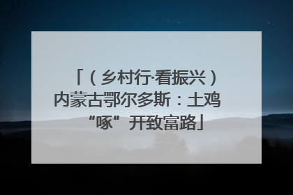 （乡村行·看振兴）内蒙古鄂尔多斯：土鸡“啄”开致富路