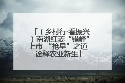 （乡村行·看振兴）南湖红菱“错峰”上市 “抢早”之道诠释农业新生