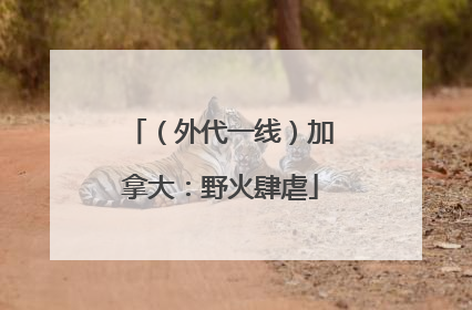 （外代一线）加拿大：野火肆虐