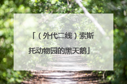 （外代二线）索斯托动物园的黑天鹅