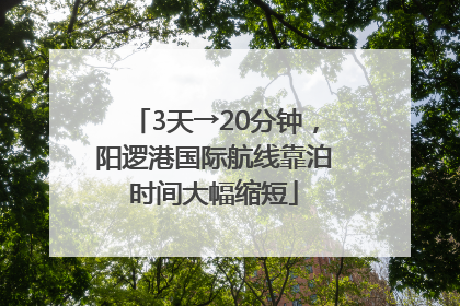 3天→20分钟，阳逻港国际航线靠泊时间大幅缩短