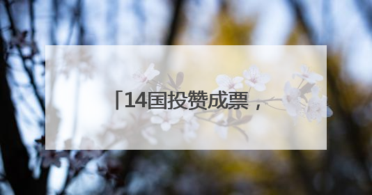 14国投赞成票，美国一票否决！安理会未通过决议