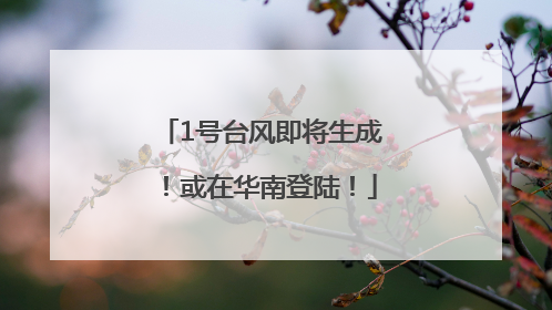 1号台风即将生成！或在华南登陆！