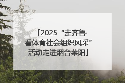 2025“走齐鲁·看体育社会组织风采”活动走进烟台莱阳