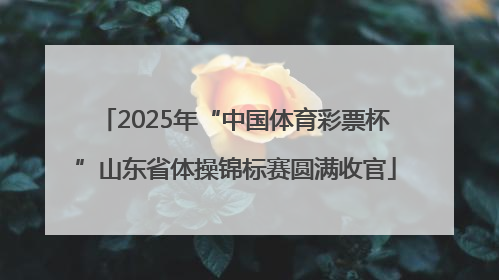 2025年“中国体育彩票杯”山东省体操锦标赛圆满收官