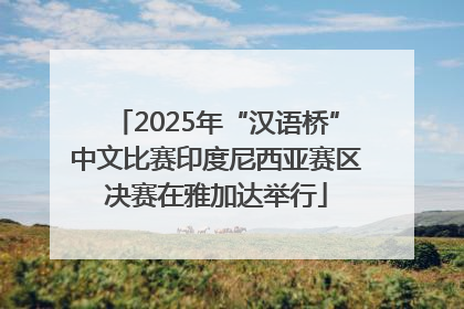 2025年“汉语桥”中文比赛印度尼西亚赛区决赛在雅加达举行