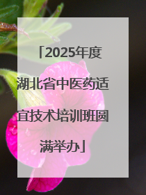 2025年度湖北省中医药适宜技术培训班圆满举办
