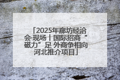 2025年廊坊经洽会·现场丨国际招商“磁力”足 外商争相向河北推介项目